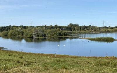 Turen rundt om Årslev Engsø