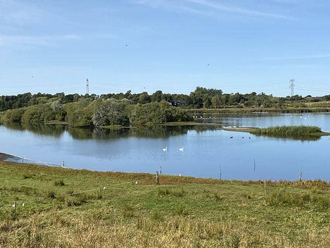 Årslev engsø i Aarhus