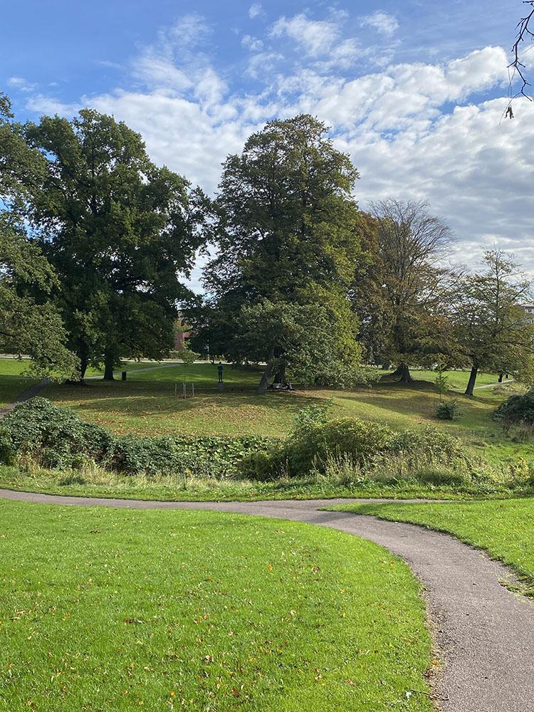 Vennelystparken i Århus Vennelystparken i Århus