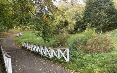 Vild i Vennelystparken – Biodiversitet i parken