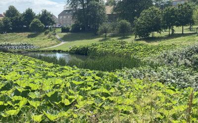 3 oversete parker i Århus