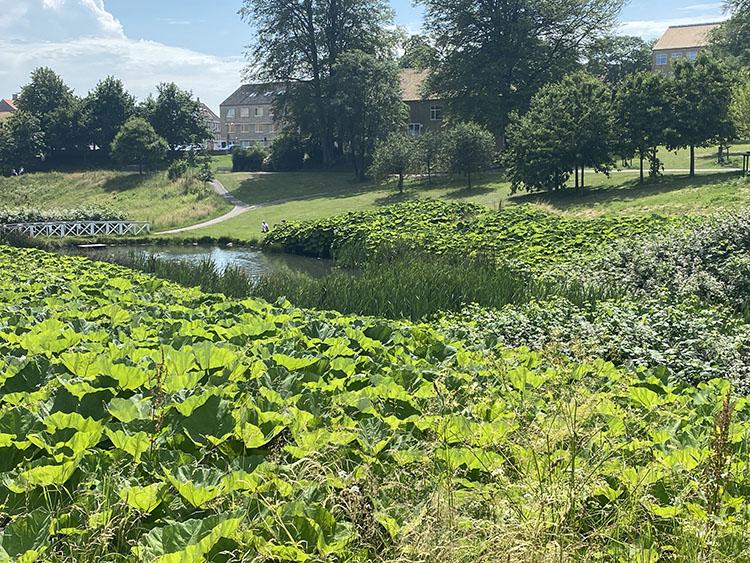 Vennelystparken i Århus