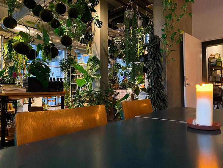 Plukk Plantecafe Aarhus Plukk Plantecafe Aarhus