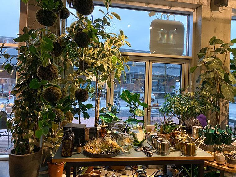 Plukk Plantecafe Aarhus Plukk Plantecafe Aarhus
