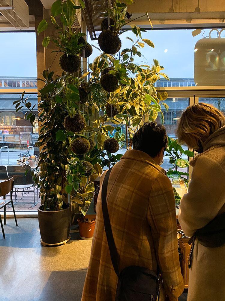 Plukk Plantecafe Aarhus Plukk Plantecafe Aarhus