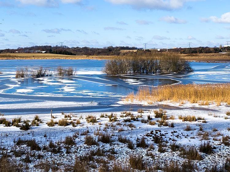 Årslev engsø i Århus