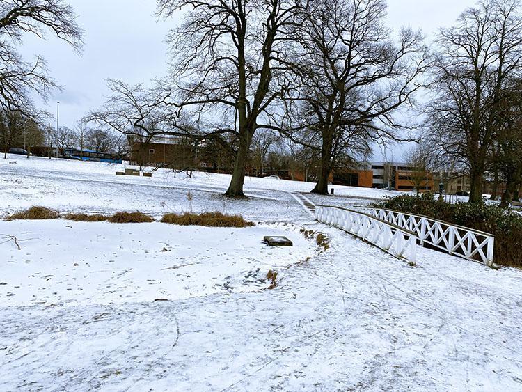 Vennelystparken i Århus