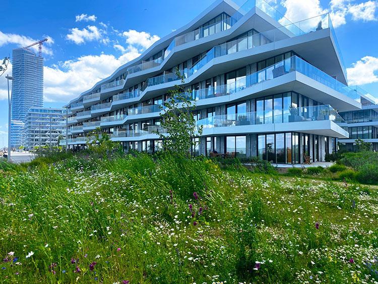Bygninger på Aarhus Ø Bygninger på Aarhus Ø