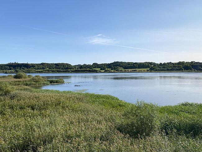 Årslev Engsø