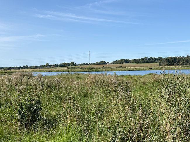 Årslev Engsø Årslev Engsø