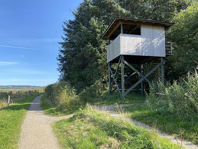 Årslev Engsø Årslev Engsø