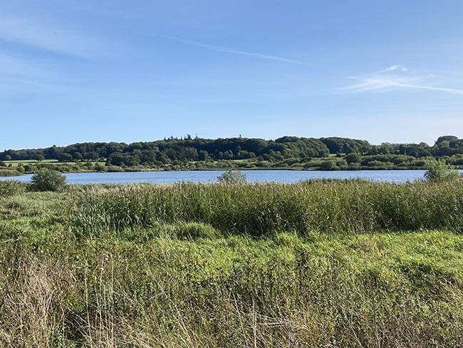 Årslev Engsø Årslev Engsø