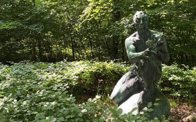 Havreballe skov