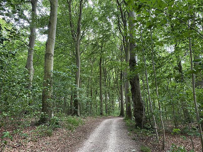 Høskoven Viby Aarhus
