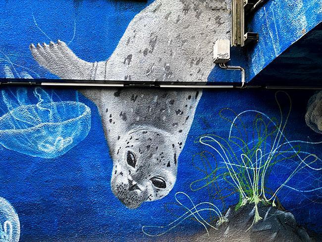 botanisk have street art botanisk have street art