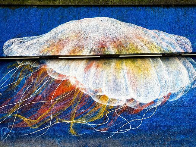 botanisk have street art botanisk have street art