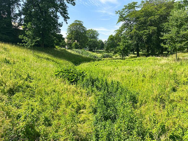 Vennelyst park Vennelyst park