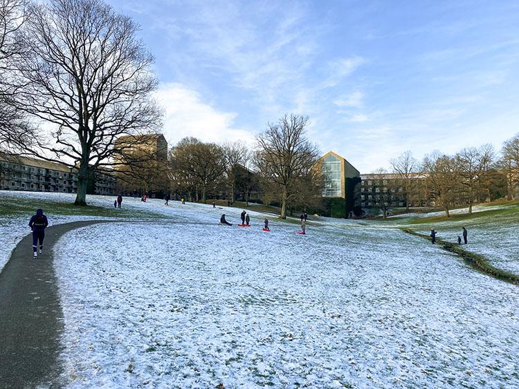 Universitetsparken