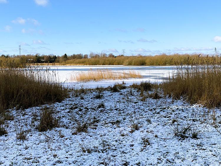Årslev Engsø Årslev Engsø