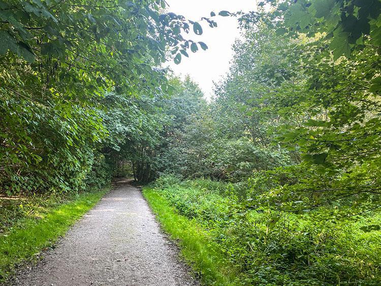 Årslev Engsø Årslev Engsø