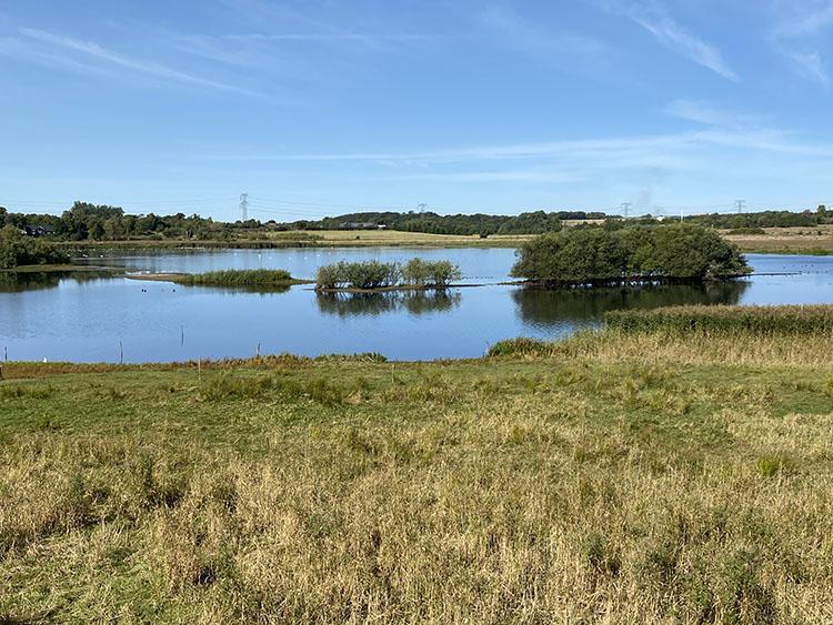Årslev Engsø i Århus