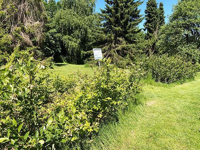 Langenæs i Århus Langenæs i Århus
