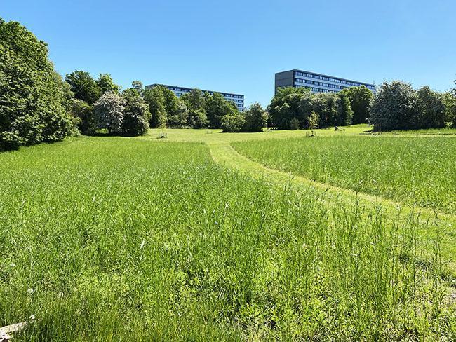 Langenæs i Århus Langenæs i Århus