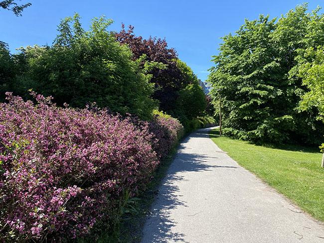 Bypark ved Langenæs i Århus Bypark ved Langenæs i Århus
