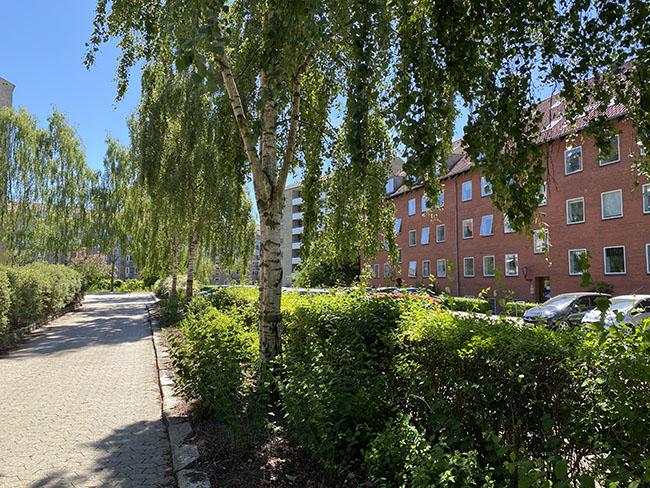 Lejligheder ved Langenæs i Århus Lejligheder ved Langenæs i Århus