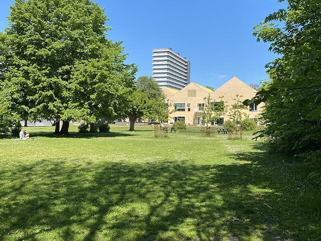 Langenæs i Århus Langenæs i Århus