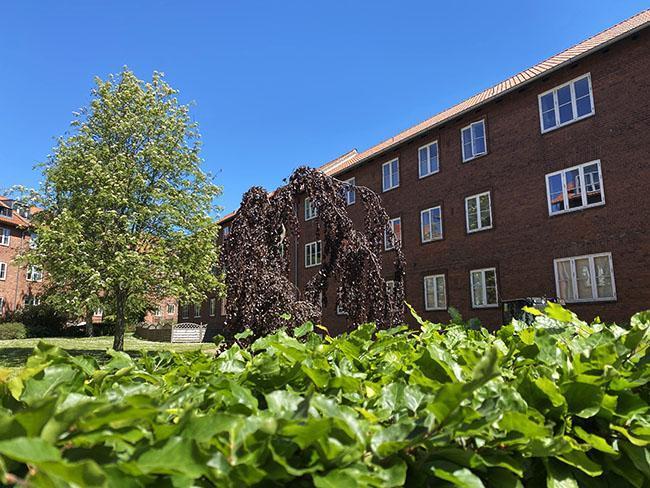 Langenæs i Århus Langenæs i Århus