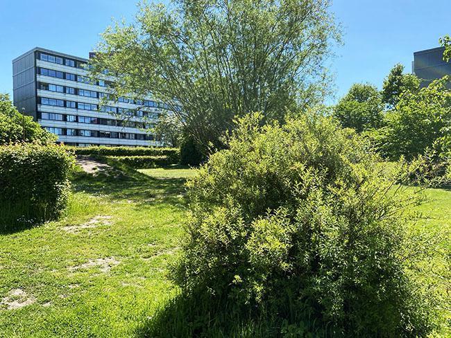Langenæs i Århus Langenæs i Århus