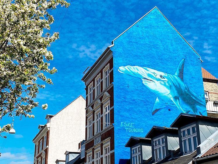 Street art Frederiksbjerg Sct Anna Gade Frederiksbjerg Sct Anna Gade street art