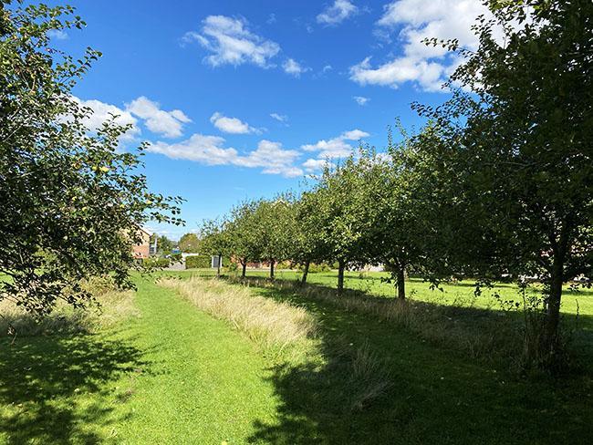 Skejby i Århus Skejby i Århus