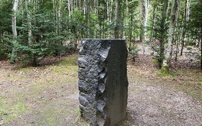 True skov