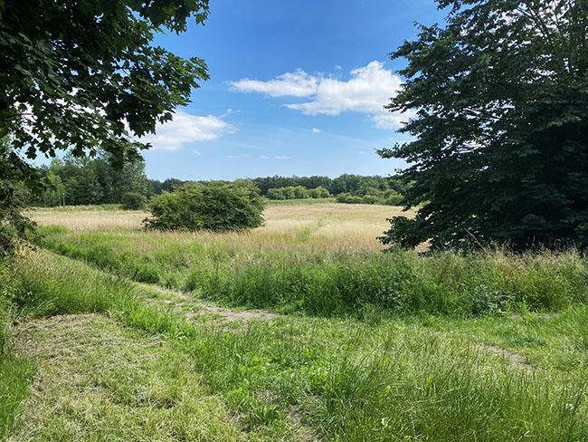 Vestereng Christiansbjerg i Aarhus Vestereng Christiansbjerg i Aarhus