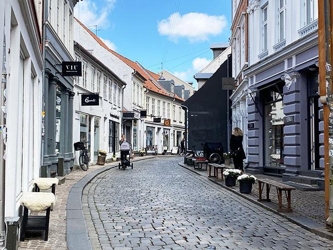 Latinerkvarteret i Århus volden Latinerkvarteret i Århus