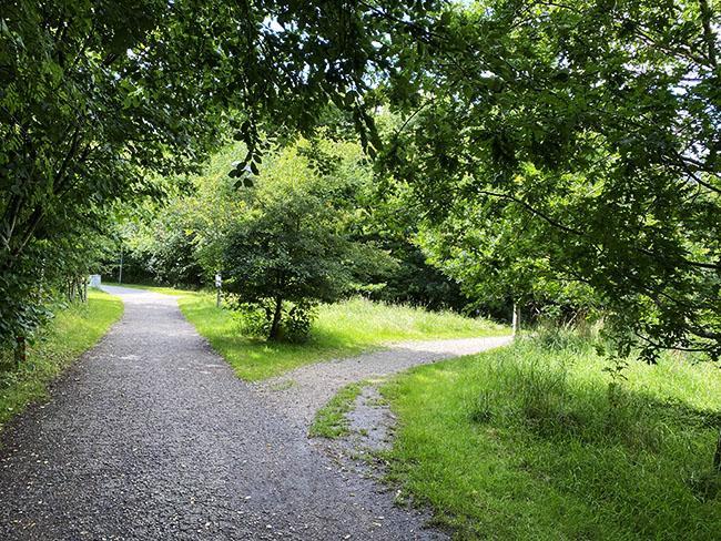 Marienlyst Park i Hasle Marienlyst Park i Hasle