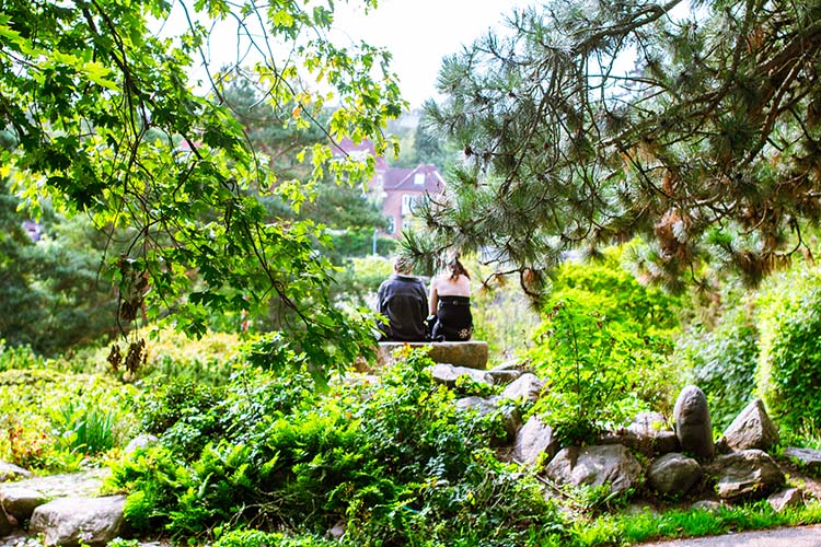 Botanisk have aarhus hyggesnak » Aarhus Inside Botanisk have århus