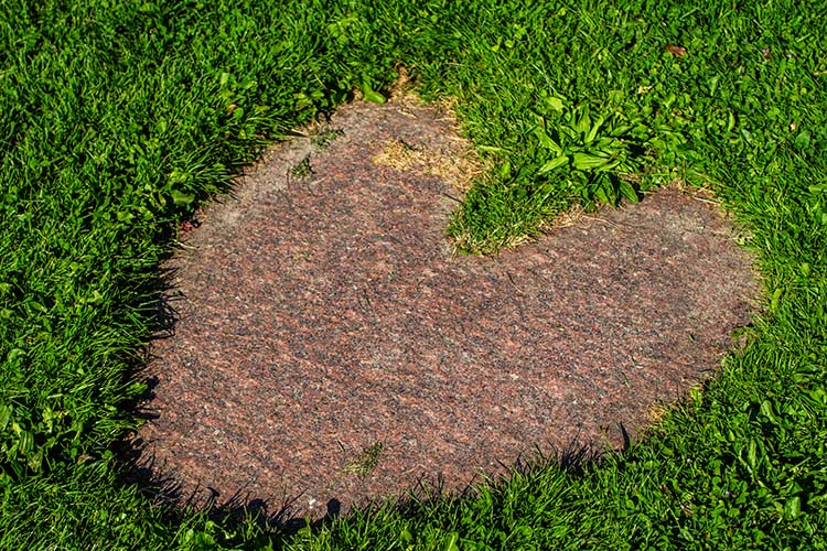 Marselisborg Slotspark Tre Løver og Ni hjerter 2012 Marselisborg Slotspark Tre Løver og Ni hjerter 2012