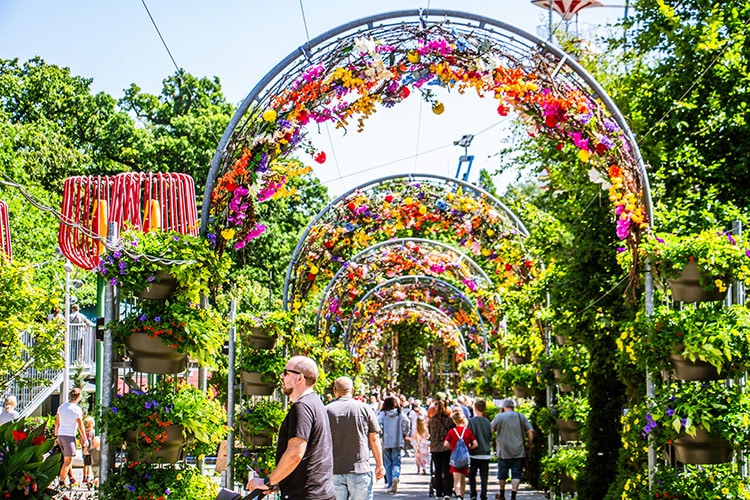 Blomsterfestival 2024 Tivoli Friheden 8250 1 » Aarhus Inside Blomsterfestival 2024 – Kom og oplev en blomsterfest, du ikke vil glemme