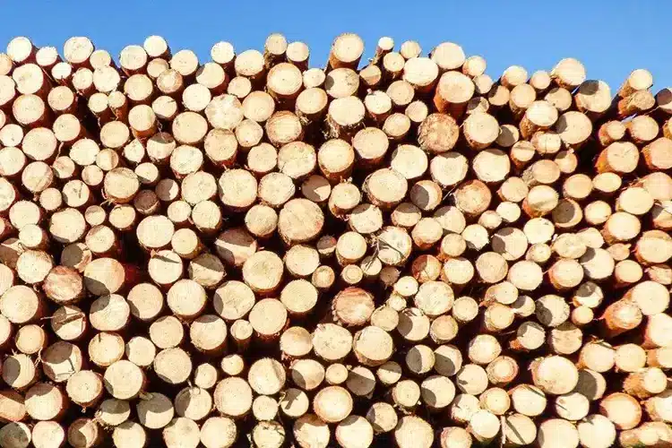 Byg et holdbart hegn med granrafter uden bark - sponseret