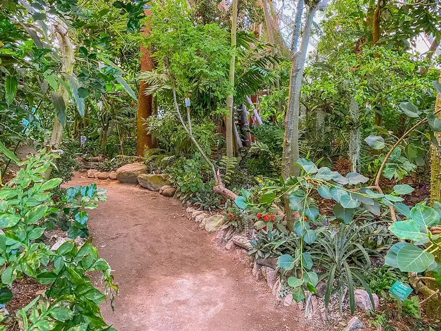 Væksthusene i Botanisk have