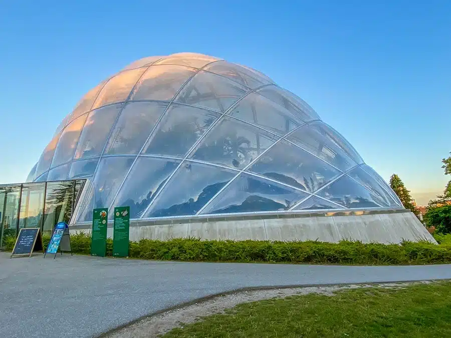 Væksthusene i Botanisk have