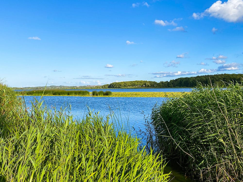 Brabrand Sø