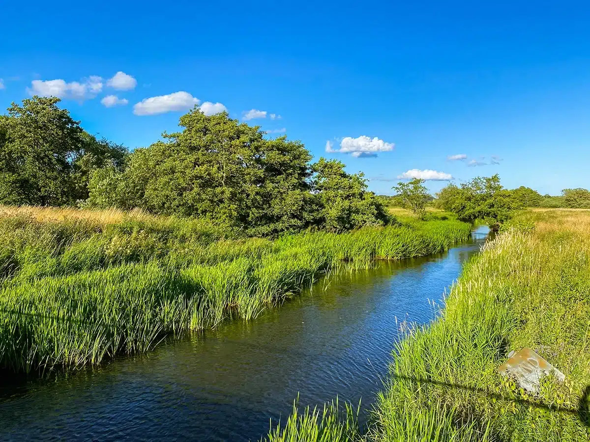 Brabrand sø - Aarhus å Brabrand sø - Aarhus å