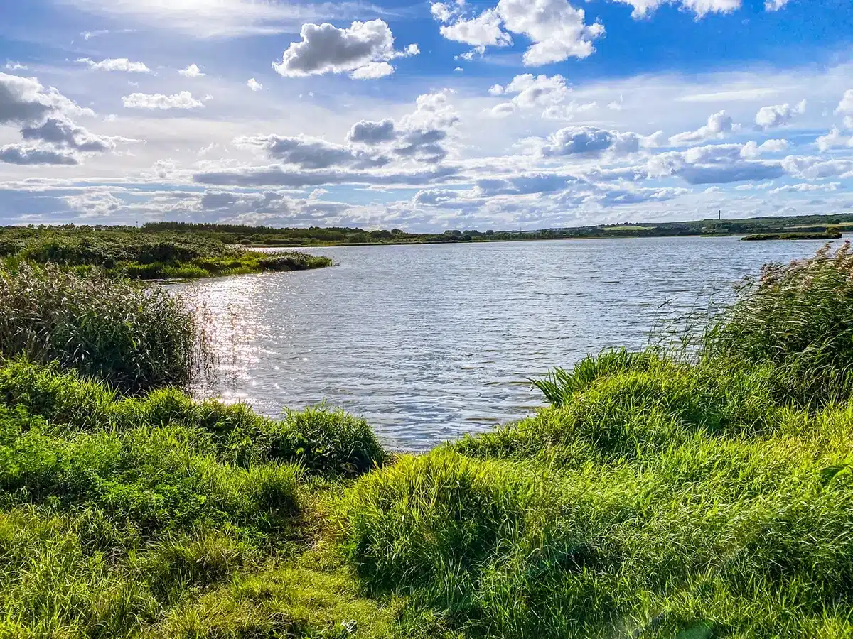 Egå Engsø