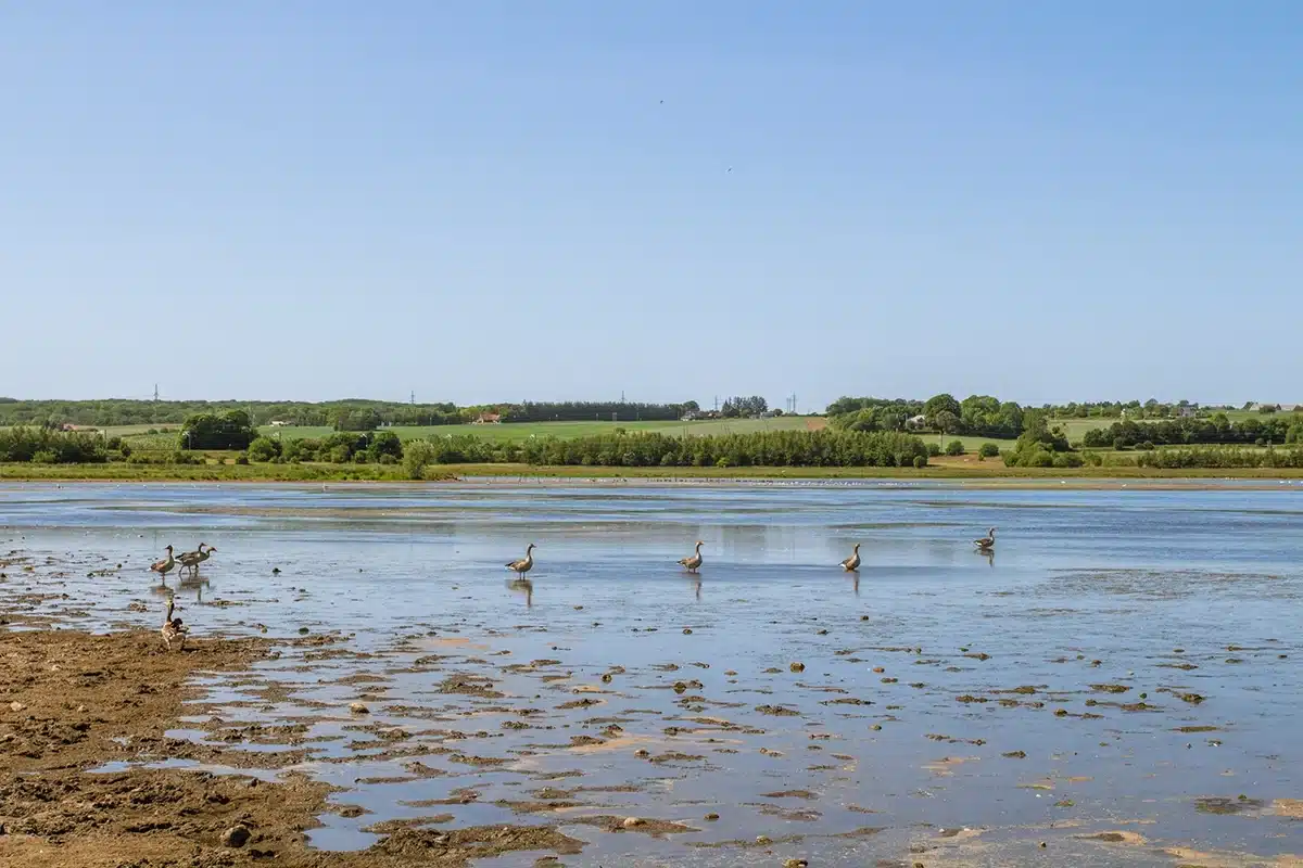 Egå Engsø