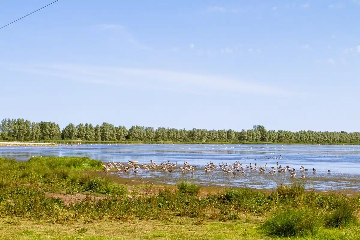 Egå Engsø
