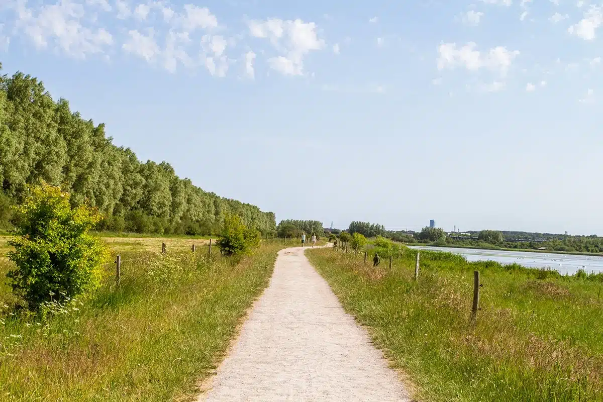 Egå Engsø